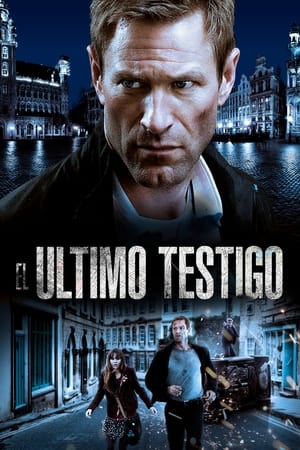 Póster de la película El último testigo