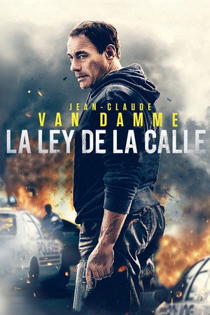 Póster de la película La ley de la calle