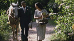 Default Netflix logo