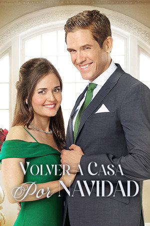 Póster de la película Volver a casa por Navidad