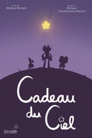 Póster de la película Cadeau du Ciel