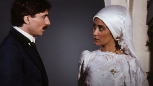 Default Netflix logo