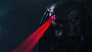 Predator