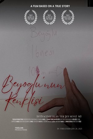 Póster de la película Beyoğlu'nun Renklisi