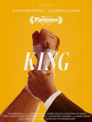 Póster de la película KING