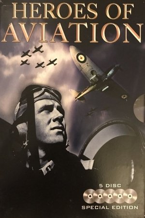 watch heroes of aviation: against all odds tv show poster