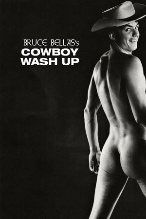 Póster de la película Cowboy Wash Up
