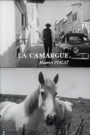 Póster de la película La Camargue