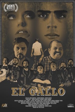 Póster de la película El Gallo