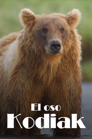 Póster de la película Los osos gigantes de Alaska