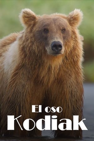 Póster de la película Los osos gigantes de Alaska