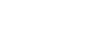 La acompañante