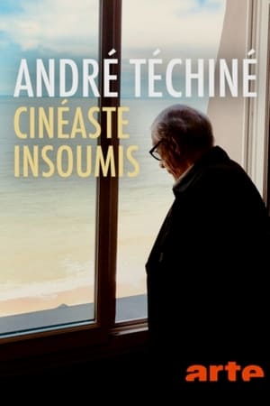 Póster de la película André Téchiné, cinéaste insoumis
