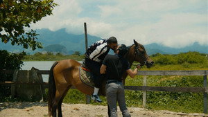O Cavalo de Pedro