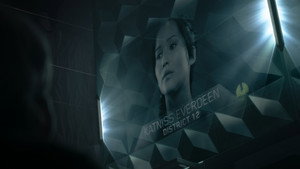 The Hunger Games: Mockingjay - Part 2