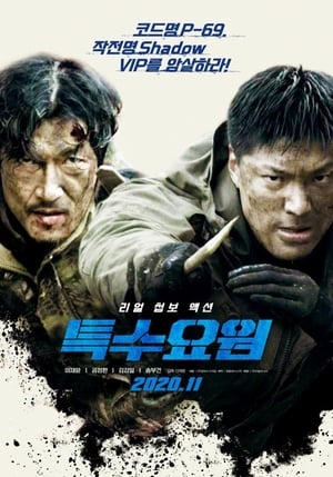 Póster de la película 특수요원