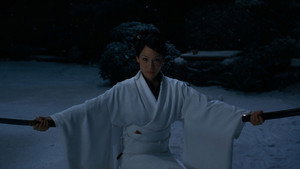 Kill Bill: The Whole Bloody Affair