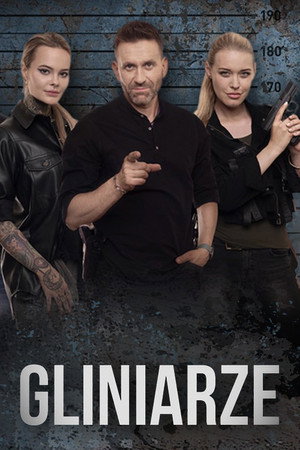 Póster de la serie Gliniarze