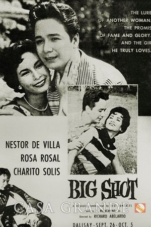 Póster de la película Big Shot