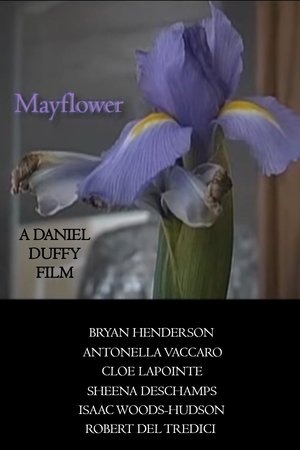 Póster de la película Mayflower