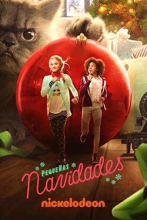 Póster de la película Pequeñas Navidades