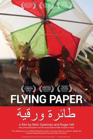 Póster de la película Flying Paper