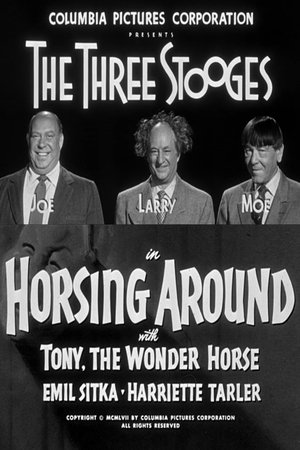 Póster de la película Horsing Around