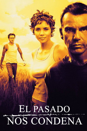 Póster de la película Monster's Ball