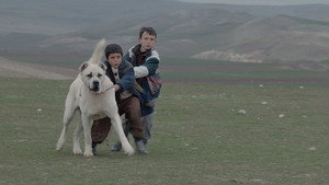 Sivas