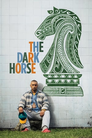 Póster de la película The Dark Horse