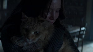 The Hunger Games: Mockingjay - Part 2