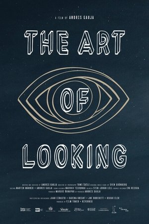 watch the art of looking movie poster