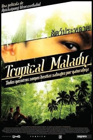 Póster de la película Tropical Malady