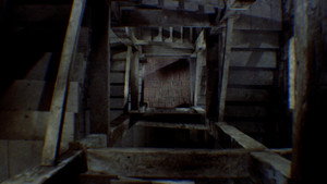 Vertigo