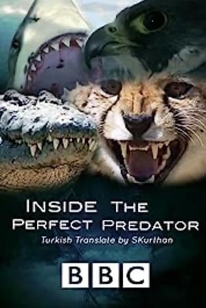 Póster de la película Inside the Perfect Predator