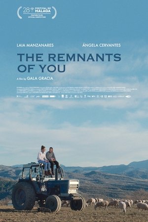 The Remnants of You