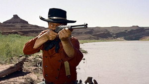 The Searchers