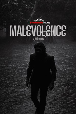 Póster de la película Malevolence