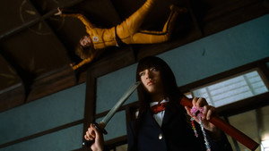 Kill Bill: The Whole Bloody Affair