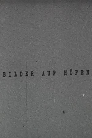 Bilder auf Höfen
