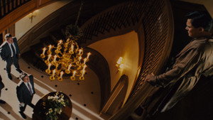 The Wolf of Wall Street