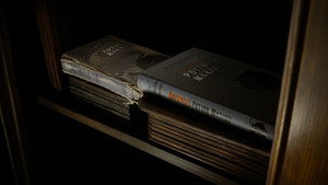 Harry Potter and the Half-Blood Prince