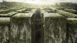 Maze Runner - Il labirinto