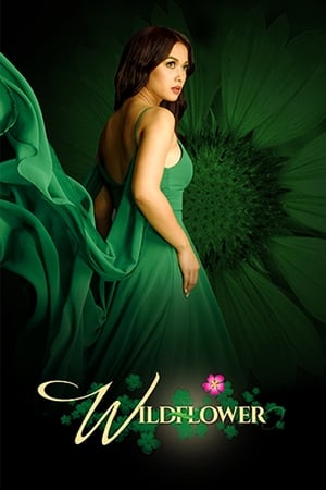 Póster de la serie Wildflower