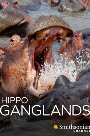 Póster de la película Hippo Ganglands