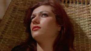 Default Netflix logo