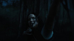 The Hunger Games: Catching Fire