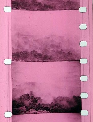 Póster de la película La montagne infidèle