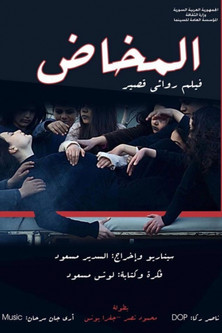 Default Netflix logo