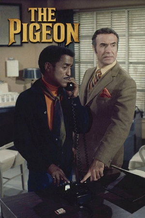 Póster de la película The Pigeon